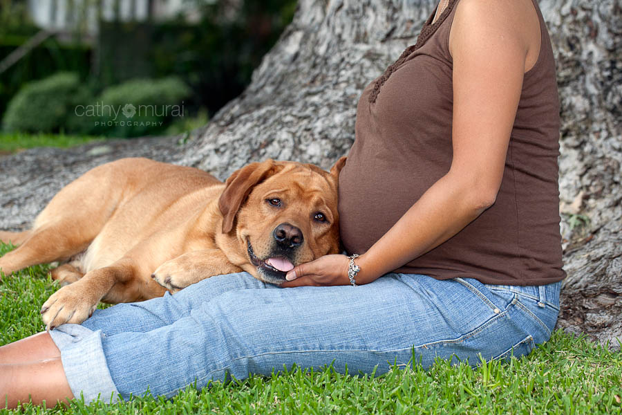 Maternity Session with a dog | Los Angeles Maternity Photographer, Los Angeles Pet Photographer,  Pasadena Maternity Photography, Pasadena Pet Photography, Cathy Murai Photography