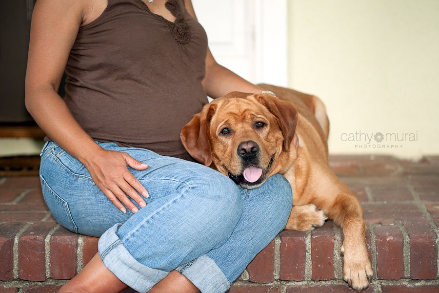 Maternity Session with a dog | Los Angeles Maternity Photographer, Los Angeles Pet Photographer,  Pasadena Maternity Photography, Pasadena Pet Photography, Pregnant woman with a dog, Cathy Murai Photography