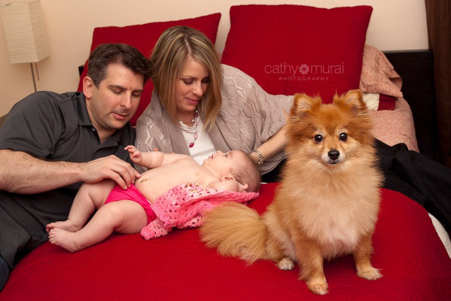  A beautiful family with their cute baby and a dog, a Pomeranian, on their bed in the bedroom - Captured by a Glendale Lifestyle Pet Photographer, a Glendale Baby Photographer, a Glendale Family Photographer, Cathy Murai Photography