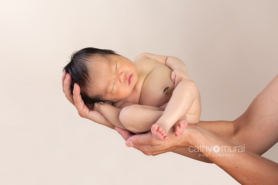 A beautiful 8 day old Asian newborn baby girl posing on the father's arns. A newborn baby portrait taken in the studio during newborn portrait session, Los Angeles, San Gabriel Valley, Alhambra Newborn Photographer, Cathy Murai Photography