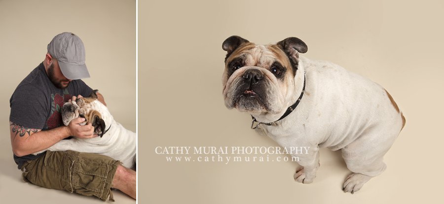 Bulldog, family dog, family pet, dog portrait, dog picture, Dog session, Los Angeles. Pasadena, Newborn photographer, Cathy Miurai Photography 