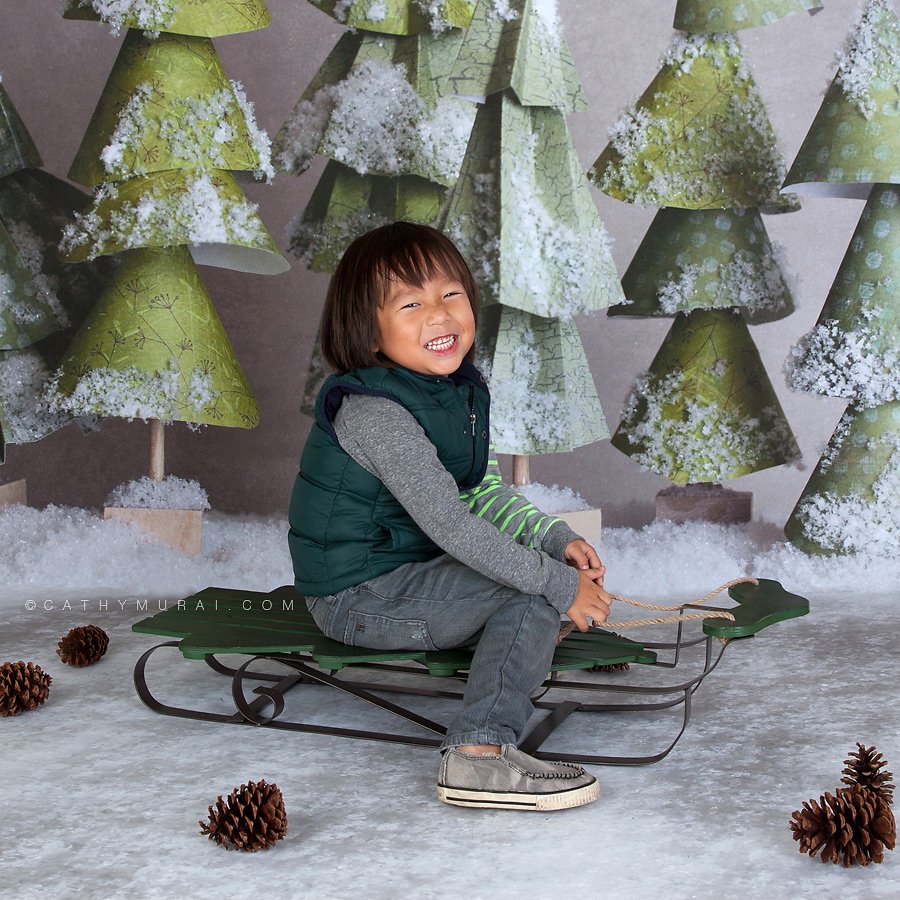 A happy boy sitting on the sleigh in frotnt of the christmas trees by lemon backdrop stop Cathy-Murai-Photography- Alhambra-South Pasadena-Pasadena-San Marino-San Gabriel Valley-Los Angeles-studio photography-Professional Christmas Photographer-Professional Christmas Photography, Christmas portrait photography Professional Christmas Photographer, Professional Christmas Photography, Children Christmas portrait photography, Christmas children photography, Christmas kids photography ideas, Christmas kids pictures