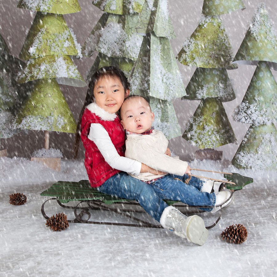 siblings sitting on the sleigh in snow in front of christmas trees by lemon backdrop stop Cathy-Murai-Photography- Alhambra-South Pasadena-Pasadena-San Marino-San Gabriel Valley-Los Angeles-studio photography-Professional Christmas Photographer-Professional Christmas Photography, Christmas portrait photography Professional Christmas Photographer, Professional Christmas Photography, Children Christmas portrait photography, Christmas children photography, Christmas kids photography ideas, Christmas kids pictures