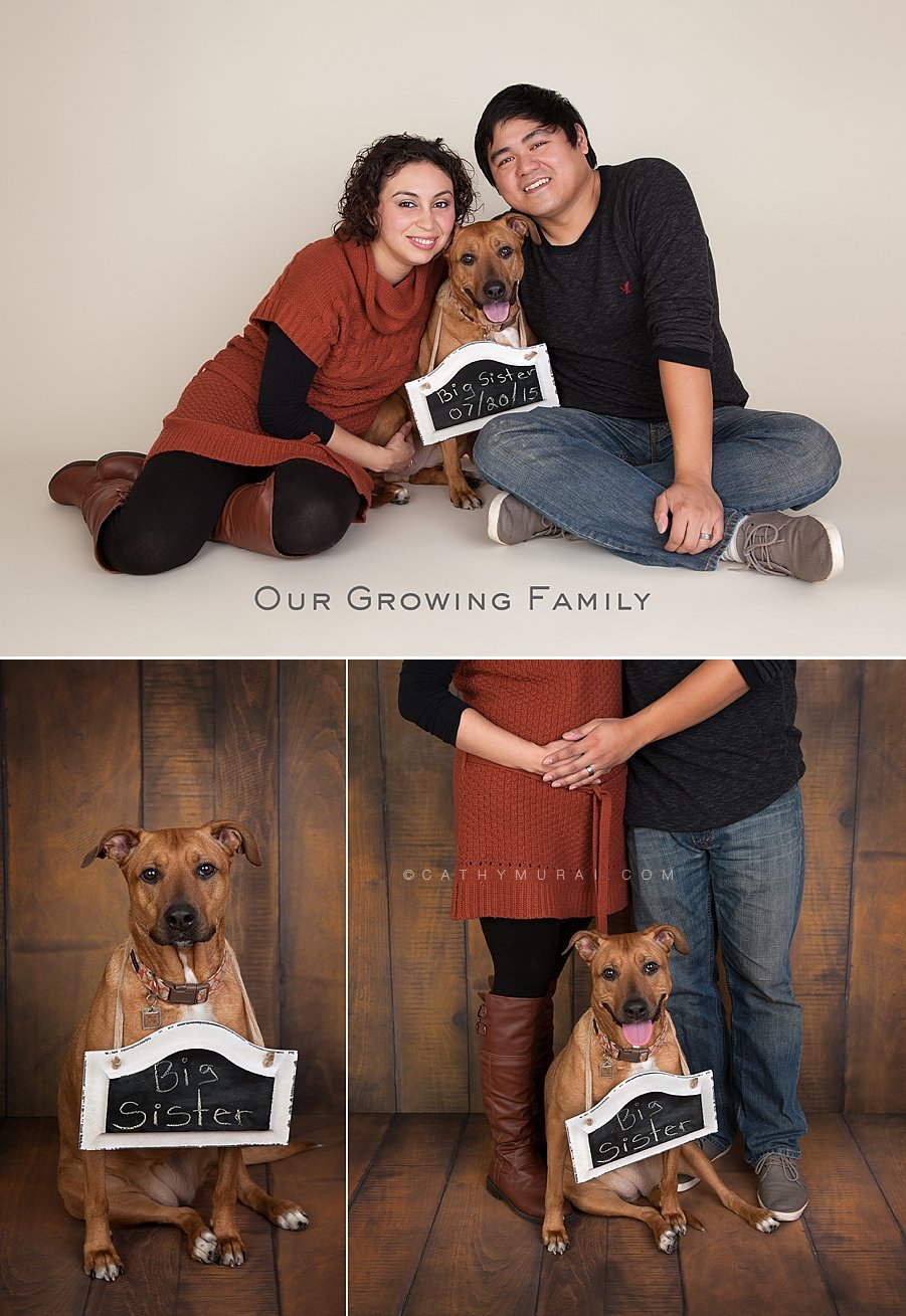 Expectant Parent’s First Pregnancy Announcement Starring Their Family Dog (Big Sister) | by Cathy Murai Photography – Los Angeles Maternity & Family Pet Photographer