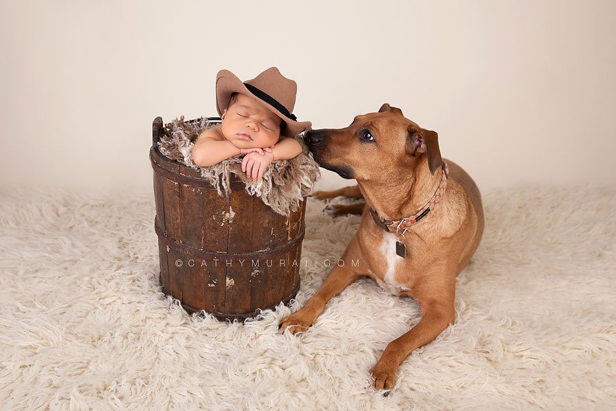 Newborn baby boy wearing a cow boy hat posing in the antique bucket next to his family dog, newborn and dog photography, newborn and dog picture, newborn and dog portrait, newborn and dog photo, baby and dog photography, baby and dog picture, baby and dog image, baby and dog portrait, newborn and pet photography, newborn and pet picture, newborn and pet image, newborn and pet portrait, dog winking, philippino newborn baby, mexican newborn baby, best newborn photographer,Los Angeles newborn baby photographer,Los Angeles newborn baby photography,famous baby photographer,famous newborn photographer,los angeles newborn photographer,los angeles newborn photography,los angeles newborn photographer,los angeles newborn photography,los angeles twin newborn photographer,los angeles twin newborn photography,newborn photo shoot los angeles,newborn photographer los angeles,newborn photographer alhambra,newborn photography los angeles, premier newborn photographer, Pasadena newborn baby photographer,Pasadena newborn photographer,San Gabriel Valley newborn photography,San Gabriel Valley newborn photographer,Alhambra newborn photography,top newborn photographer, Las Tunas newborn photography,Las Tunas newborn photographer, Cathy Murai Photography, newborn and sibling photographer, newborn and sibling photography, newborn and sibling pictures, newborn and sibling photos newborn and sibling pictures, Mother and newborn photography, newborn posing