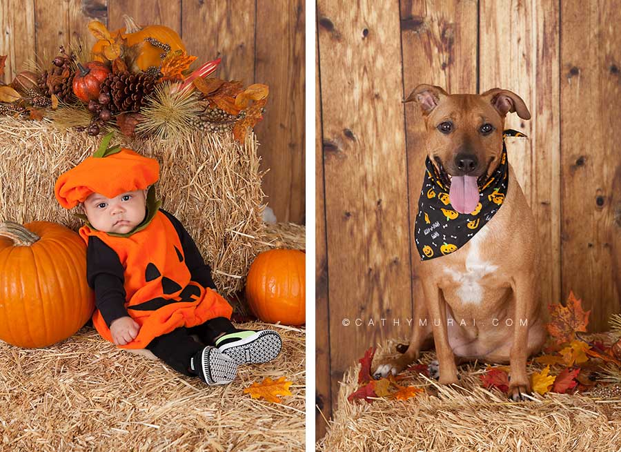 baby in pumpkin, Happy Halloween, Los Angeles Halloween Photographer, Halloween Mini Session, Hay and pumpkins, fall leaves