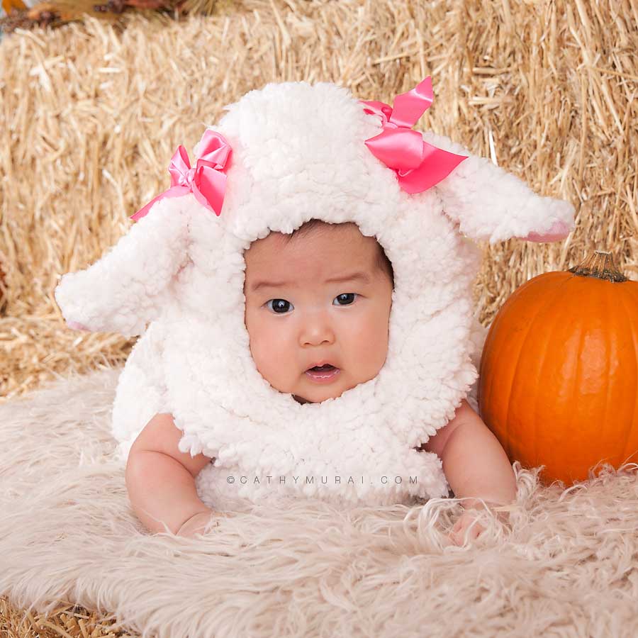 cute baby in sheep costume, Happy Halloween, Los Angeles Halloween Photographer, Halloween Mini Session, Hay and pumpkins, fall leaves