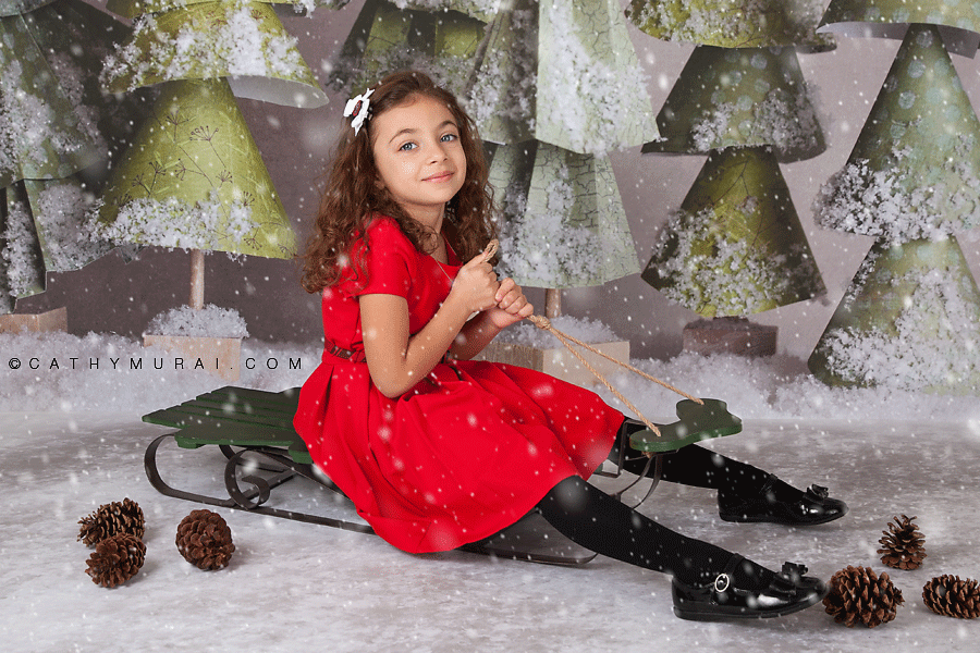 Beautiful girl sitting on the sleigh in front of christmas trees for Christmas card, Christmas Child Portrait Session, Los Angeles Christmas Child Portrait Session, Alhambra Christmas Child Portrait Session, Pasadena Christmas Child Portrait Session, South Pasadena Christmas Child Portrait Session, Las Tunas Christmas Child Portrait Session, Rosemead Christmas Child Portrait Session, San Marino Christmas Child Portrait, El Monte Christmas Child Portrait Session, South El Monte Christmas Child Portrait Session, San Gabriel Valley Christmas Child Portrait Session, Monrovia Christmas Child Portrait Session, Glendale Christmas Child Portrait Session, North Hollywood Christmas Child Portrait Session, Los Angeles Christmas Child photographer Child Christmas Child photographer, Los Angeles Christmas Child Child photography, famous Child photographer, famous Christmas Child photographer, los Angeles best Christmas Child photographer, Los Angeles Christmas Child photography, los Angeles Christmas Child photographer, los Angeles, Christmas Child photography, Alhambra, Christmas Child photography, Pasadena Christmas Child Child photographer, Pasadena Christmas Child photographer, San Gabriel Valley Christmas Child photography, San Gabriel Valley Christmas Child photographer, Alhambra Christmas Child photography, Las Tunas Christmas Child photography, Las Tunas Christmas Child photographer