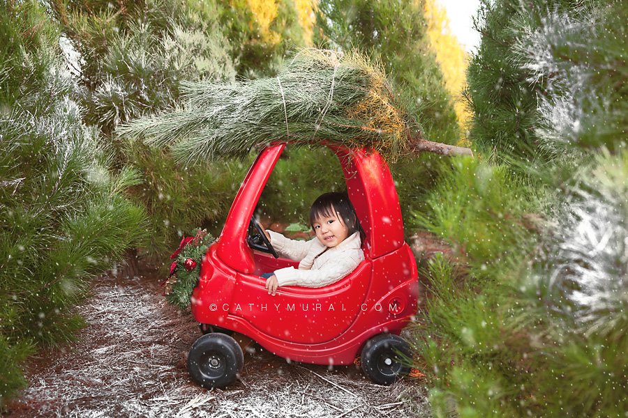 Toddler girl driving a red car with christmas tree on the top in the Christmas tree farm, Christmas Child Portrait Session, Los Angeles Christmas Child Portrait Session, Alhambra Christmas Child Portrait Session, Pasadena Christmas Child Portrait Session, South Pasadena Christmas Child Portrait Session, Las Tunas Christmas Child Portrait Session, Rosemead Christmas Child Portrait Session, San Marino Christmas Child Portrait, El Monte Christmas Child Portrait Session, South El Monte Christmas Child Portrait Session, San Gabriel Valley Christmas Child Portrait Session, Monrovia Christmas Child Portrait Session, Glendale Christmas Child Portrait Session, North Hollywood Christmas Child Portrait Session, Los Angeles Christmas Child photographer Child Christmas Child photographer, Los Angeles Christmas Child Child photography, famous Child photographer, famous Christmas Child photographer, los Angeles best Christmas Child photographer, Los Angeles Christmas Child photography, los Angeles Christmas Child photographer, los Angeles, Christmas Child photography, Alhambra, Christmas Child photography, Pasadena Christmas Child Child photographer, Pasadena Christmas Child photographer, San Gabriel Valley Christmas Child photography, San Gabriel Valley Christmas Child photographer, Alhambra Christmas Child photography, Las Tunas Christmas Child photography, Las Tunas Christmas Child photographer