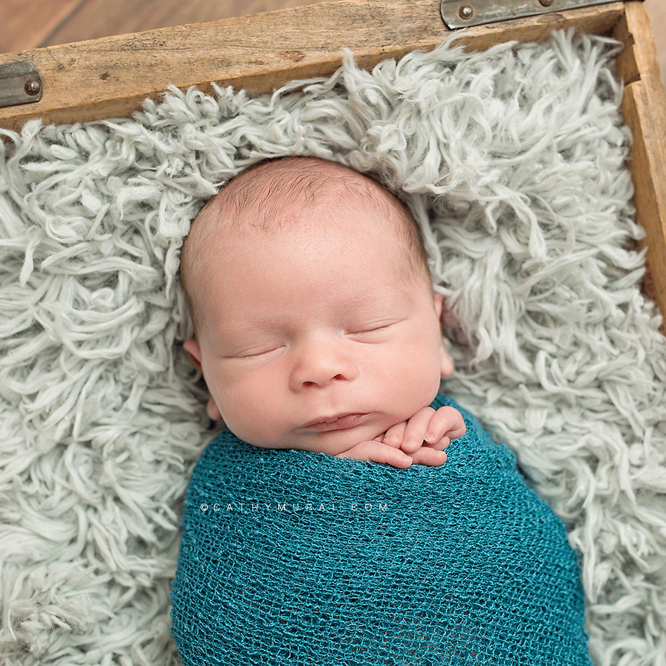 Newborn baby boy wrapped in aqua wrap showing his tiny hands posing on aqua fur in the vintage wooden box, antique wooden box brown outfit posing on brown flokati rug, Cathy Murai Photogarphy, LOS ANGELES Newborn Portraits, LOS ANGELES Newborn pictures, LOS ANGELES Newborn Images, LOS ANGELES Newborn Photographer, LOS ANGELES Newborn Photography, LOS ANGELES Newborn Studio Photographer, LOS ANGELES Newborn Studio Photography, Los Angeles the best Newborn photographer, LOS ANGELES Newborn and Family Photographer, LOS ANGELES Newborn and Family Photography, Los Angeles Newborn Posing Photography, Los Angeles Newborn and Siblings Photography, Los Angeles Newborn and Siblings Photographer, Los Angeles the best Newborn Photographer, Los Angeles Japanese Newborn Photographer, LOS ANGELES Professional Newborn Photography, LOS ANGELES Professional Newborn Photographer, Los Angeles Newborn Photo Studio ALHAMBRA Newborn Portraits, ALHAMBRA Newborn pictures, ALHAMBRA Newborn Images, ALHAMBRA Newborn Photographer, ALHAMBRA Newborn Photography, ALHAMBRA Newborn Studio Photographer, ALHAMBRA Newborn Studio Photography, Alhambra the best Newborn photographer, ALHAMBRA Newborn and Family Photographer, ALHAMBRA Newborn and Family Photography, Alhambra Newborn Posing Photography, Alhambra Newborn and Siblings Photography, Alhambra Newborn and Siblings Photographer, Alhambra the best Newborn Photographer, Alhambra Japanese Newborn Photographer, SAN MARINO Newborn Portraits, SAN MARINO Newborn pictures, SAN MARINO Newborn Images, SAN MARINO Newborn Photographer, SAN MARINO Newborn Photography, SAN MARINO Newborn Studio Photographer, SAN MARINO Newborn Studio Photography, SAN MARINO the best Newborn photographer, SAN MARINO Newborn and Family Photographer, SAN MARINO Newborn and Family Photography, SAN MARINO Newborn Posing Photography, SAN MARINO Newborn and Siblings Photography, SAN MARINO Newborn and Siblings Photographer, SAN MARINO the best Newborn Photographer, SAN MARINO Japanese Newborn Photographer, PASADENA Newborn Portraits, PASADENA Newborn pictures, PASADENA Newborn Images, PASADENA Newborn Photographer, PASADENA Newborn Photography, PASADENA Newborn Studio Photographer, PASADENA Newborn Studio Photography, PASADENA the best Newborn photographer, PASADENA Newborn and Family Photographer, PASADENA Newborn and Family Photography, PASADENA Newborn Posing Photography, PASADENA Newborn and Siblings Photography, PASADENA Newborn and Siblings Photographer, PASADENA the best Newborn Photographer, PASADENA Japanese Newborn Photographer, SOUTH PASADENA Newborn Portraits, SOUTH PASADENA Newborn pictures, SOUTH PASADENA Newborn Images, SOUTH PASADENA Newborn Photographer, SOUTH PASADENA Newborn Photography, SOUTH PASADENA Newborn Studio Photographer, SOUTH PASADENA Newborn Studio Photography, SOUTH PASADENA the best Newborn photographer, SOUTH PASADENA Newborn and Family Photographer, SOUTH PASADENA Newborn and Family Photography, SOUTH PASADENA Newborn Posing Photography, SOUTH PASADENA Newborn and Siblings Photography, SOUTH PASADENA Newborn and Siblings Photographer, SOUTH PASADENA the best Newborn Photographer, SOUTH PASADENA Japanese Newborn Photographer, SAN GABRIEL VALLEY Newborn Portraits, SAN GABRIEL VALLEY Newborn pictures, SAN GABRIEL VALLEY Newborn Images, SAN GABRIEL VALLEY Newborn Photographer, SAN GABRIEL VALLEY Newborn Photography, SAN GABRIEL VALLEY Newborn Studio Photographer, SAN GABRIEL VALLEY Newborn Studio Photography, SAN GABRIEL VALLEY the best Newborn photographer, SAN GABRIEL VALLEY Newborn and Family Photographer, SAN GABRIEL VALLEY Newborn and Family Photography, SAN GABRIEL VALLEY Newborn Posing Photography, SAN GABRIEL VALLEY Newborn and Siblings Photography, SAN GABRIEL VALLEY Newborn and Siblings Photographer, SAN GABRIEL VALLEY the best Newborn Photographer, SAN GABRIEL VALLEY Japanese Newborn Photographer, LA CANADA Newborn Portraits, LA CANADA Newborn pictures, LA CANADA Newborn Images, LA CANADA Newborn Photographer, LA CANADA Newborn Photography, LA CANADA Newborn Studio Photographer, LA CANADA Newborn Studio Photography, LA CANADA the best Newborn photographer, LA CANADA Newborn and Family Photographer, LA CANADA Newborn and Family Photography, LA CANADA Newborn Posing Photography, LA CANADA Newborn and Siblings Photography, LA CANADA Newborn and Siblings Photographer, LA CANADA the best Newborn Photographer, LA CANADA Japanese Newborn Photographer, MONROVIA Newborn Portraits, MONROVIA Newborn pictures, MONROVIA Newborn Images, MONROVIA Newborn Photographer, MONROVIA Newborn Photography, MONROVIA Newborn Studio Photographer, MONROVIA Newborn Studio Photography, MONROVIA the best Newborn photographer, MONROVIA Newborn and Family Photographer, MONROVIA Newborn and Family Photography, MONROVIA Newborn Posing Photography, MONROVIA Newborn and Siblings Photography, MONROVIA Newborn and Siblings Photographer, MONROVIA the best Newborn Photographer, MONROVIA Japanese Newborn Photographer, LAS TUNAS Newborn Portraits, LAS TUNAS Newborn pictures, LAS TUNAS Newborn Images, LAS TUNAS Newborn Photographer, LAS TUNAS Newborn Photography, LAS TUNAS Newborn Studio Photographer, LAS TUNAS Newborn Studio Photography, LAS TUNAS the best Newborn photographer, LAS TUNAS Newborn and Family Photographer, LAS TUNAS Newborn and Family Photography, LAS TUNAS Newborn Posing Photography, LAS TUNAS Newborn and Siblings Photography, LAS TUNAS Newborn and Siblings Photographer, LAS TUNAS the best Newborn Photographer, LAS TUNAS Japanese Newborn Photographer, ROSEMEAD Newborn Portraits, ROSEMEAD Newborn pictures, ROSEMEAD Newborn Images, ROSEMEAD Newborn Photographer, ROSEMEAD Newborn Photography, ROSEMEAD Newborn Studio Photographer, ROSEMEAD Newborn Studio Photography, ROSEMEAD the best Newborn photographer, ROSEMEAD Newborn and Family Photographer, ROSEMEAD Newborn and Family Photography, ROSEMEAD Newborn Posing Photography, ROSEMEAD Newborn and Siblings Photography, ROSEMEAD Newborn and Siblings Photographer, ROSEMEAD the best Newborn Photographer, ROSEMEAD Japanese Newborn Photographer, organic newborn photography, organic newborn photographer, organic newborn portrait, organic newborn picture, organic newborn image, newborn posing, baby posing, newborn hotos, baby photo, baby wrapping, newborn wrap, best newborn, best baby, baby photo baby photography, baby props, babies, newborns, newborn photography ideas 