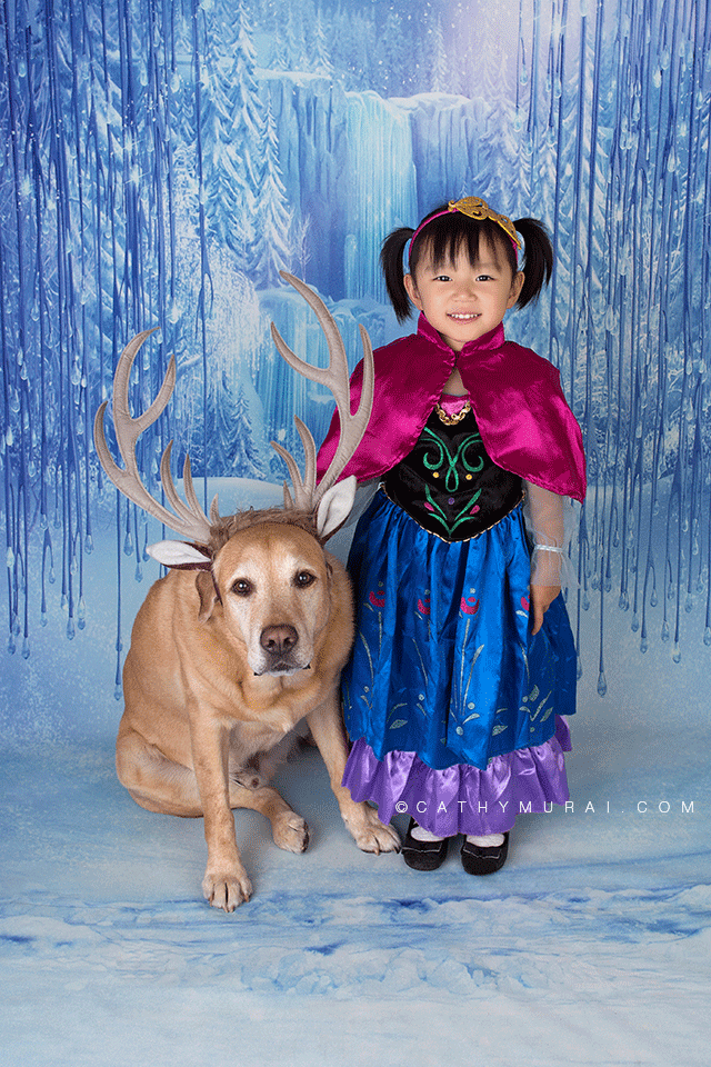 Halloween Mini Session, Princess Anna, Frozen, Cathy Murai Photography, Los Angeles Halloween Photographer, Anna from Frozen Photography, frozen inspired halloween sessions. Princess Anna and Sven (dog) in front of frozen background, Anna Frozen Princess Dress, Princess Anna Halloween Costume, Sven Halloween Costume for dog, Girl and dog halloween photography, girl and dog halloween picture, Frozen themed photo shoot, Frozen themed photography, Frozen themed portrait photography, Frozen themed Halloween session, Children's photography, kids photography, Los Angeles Pet Photography