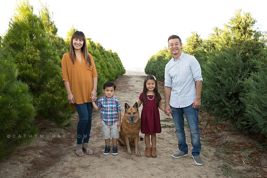 Orange County Christmas Tree Farm Mini Sessions with Santa Clause by Irvine Award Winning Professional Family and Children Photographer, Cathy Murai Photography, at Pelzer Pines in Silverado. Children and Family Christmas photos for Holiday cards. OC Christmas Tree Farm Mini sessions with Santa Clause, Pictures with Santa, Santa pictures in Orange County, Christmas Mini Session with Santa in Orange County, Best place to take photos with Santa in Orange County, Family photography including pets with Santa, 