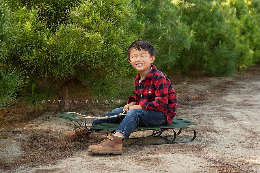 Orange County Christmas Tree Farm Mini Sessions with Santa Clause by Irvine Award Winning Professional Family and Children Photographer, Cathy Murai Photography, at Pelzer Pines in Silverado. Children and Family Christmas photos for Holiday cards. OC Christmas Tree Farm Mini sessions with Santa Clause, Pictures with Santa, Santa pictures in Orange County, Christmas Mini Session with Santa in Orange County, Best place to take photos with Santa in Orange County, Siblings Christmas Photos