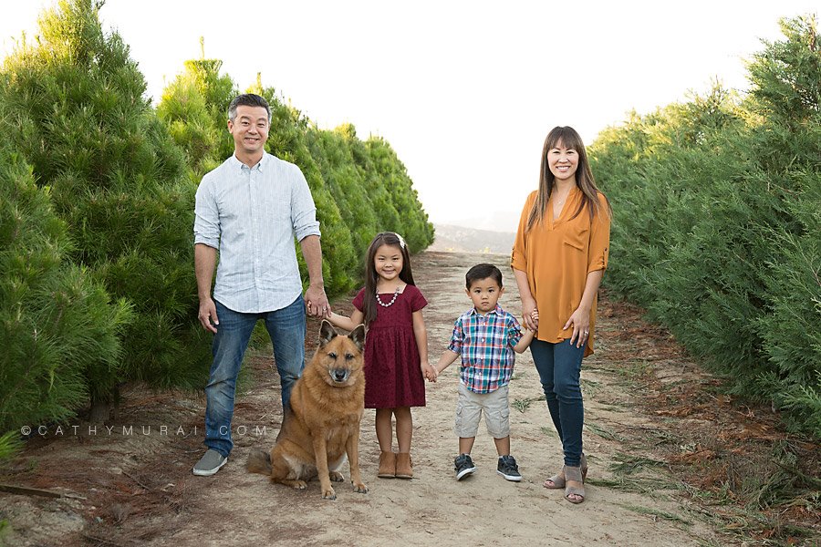 Orange County Christmas Tree Farm Mini Sessions with Santa Clause by Irvine Award Winning Professional Family and Children Photographer, Cathy Murai Photography, at Pelzer Pines in Silverado. Children and Family Christmas photos for Holiday cards. OC Christmas Tree Farm Mini sessions with Santa Clause, Pictures with Santa, Santa pictures in Orange County, Christmas Mini Session with Santa in Orange County, Best place to take photos with Santa in Orange County, Family photography including pets with Santa, 