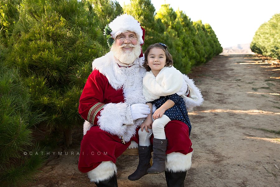 Orange County Christmas Tree Farm Mini Sessions with Santa Clause by Irvine Award Winning Professional Family and Children Photographer, Cathy Murai Photography, at Pelzer Pines in Silverado. Children and Family Christmas photos for Holiday cards. OC Christmas Tree Farm Mini sessions with Santa Clause, Pictures with Santa, Santa pictures in Orange County, Christmas Mini Session with Santa in Orange County, Best place to take photos with Santa in Orange County, 
