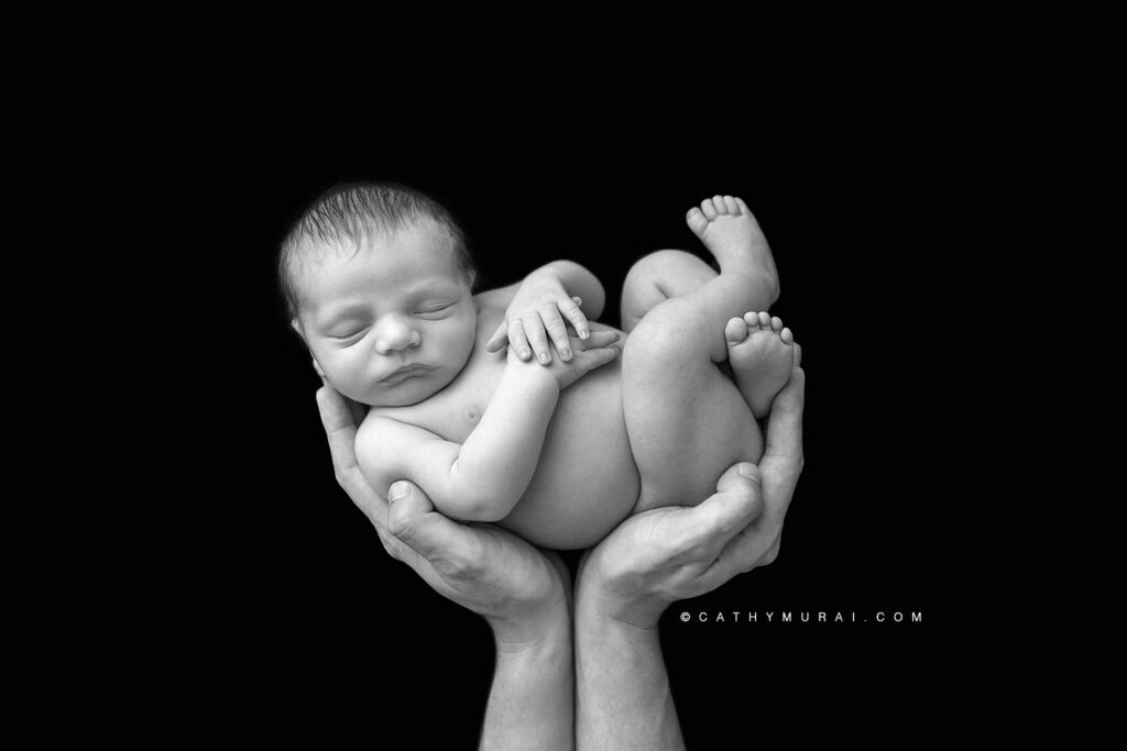 Artistic black and white photo of newborn baby being held in daddy's two hands.