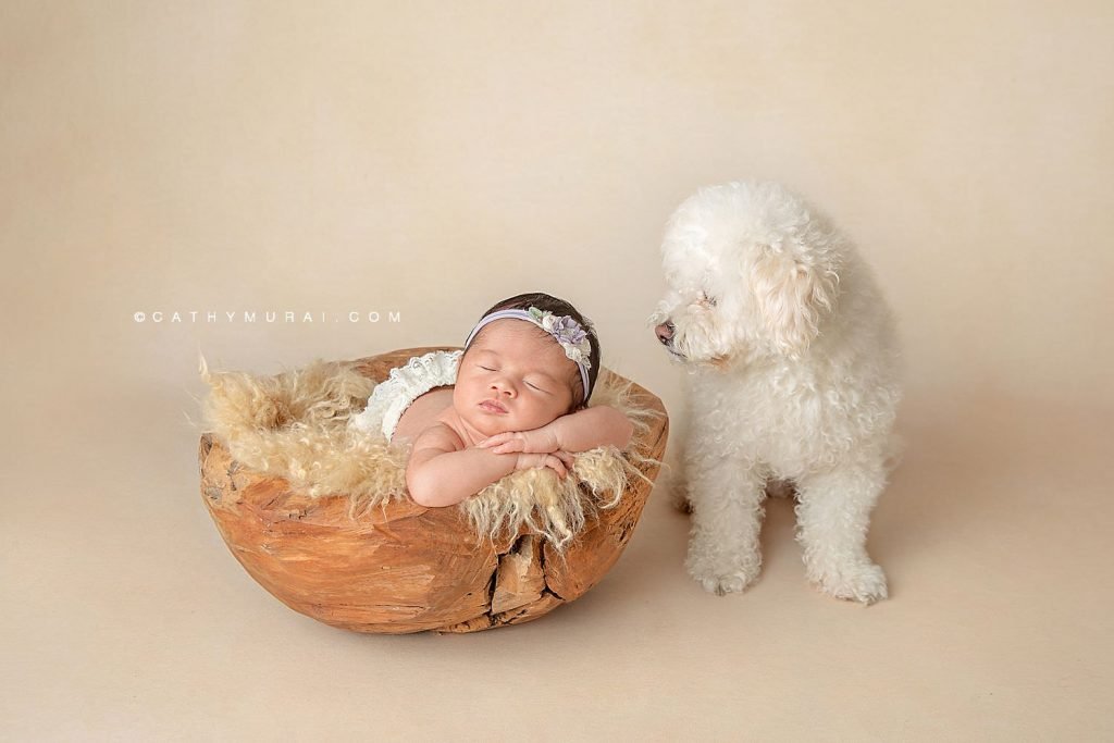 Newborn baby girl wearing a floral headband and white diaper cover sleeps in a wooden bowl on a tan furry blanket next to a white fluffy dog that is looking at her.