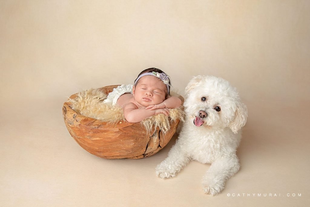Newborn baby girl wearing a floral headband and white diaper cover sleeps in a wooden bowl on a tan furry blanket next to a white fluffy dog that smiles at the camera.